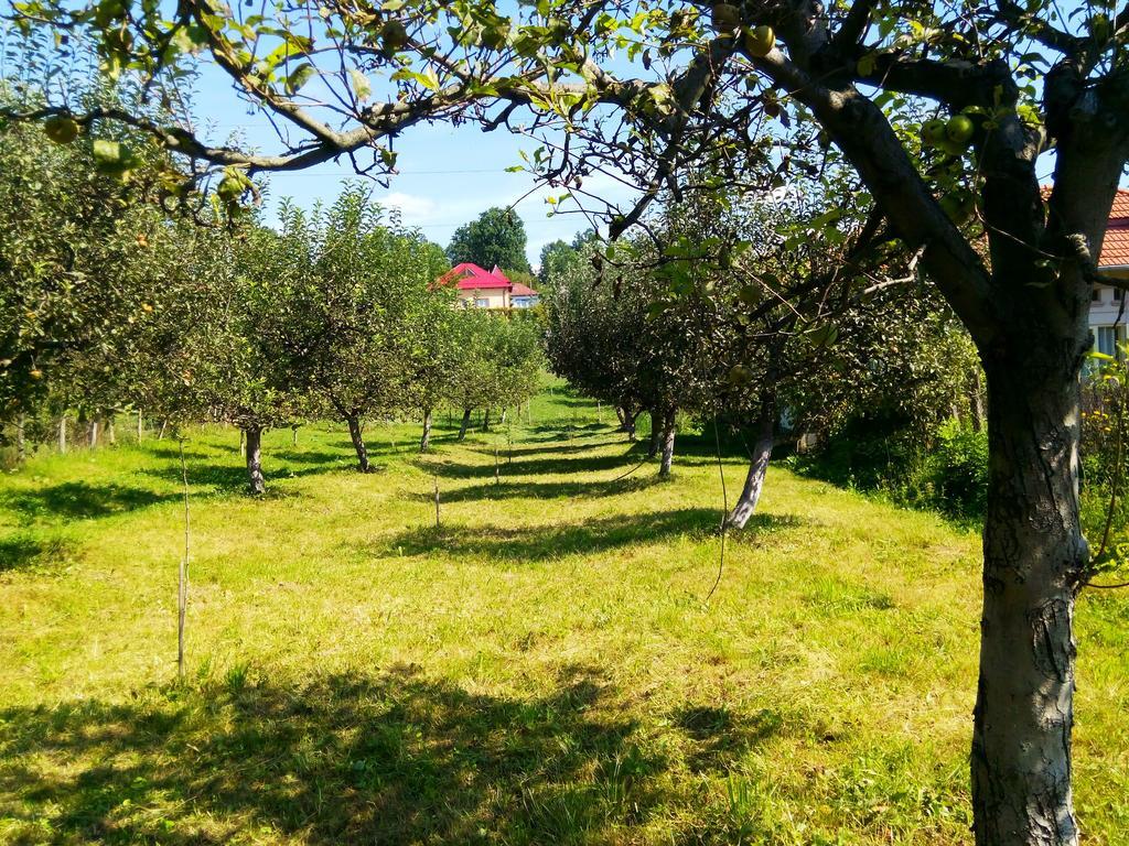 Pensiunea Dana Horezu Exterior foto